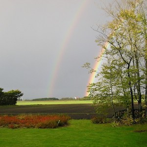 A rainbow over fields with a church in the horizon